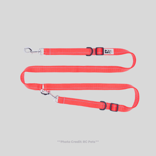Pet Travel Gear RC Pets Hands-Free Leash
