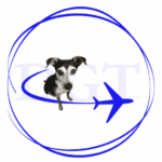 Home DogGone Traveller - The Pet Travel Expert Logo