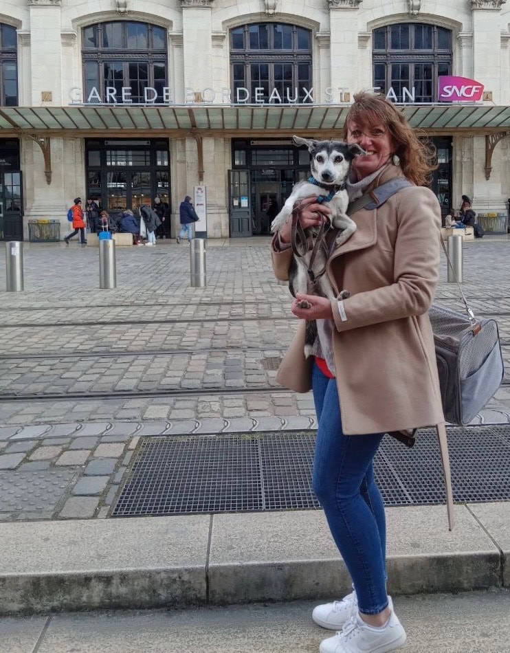 About DogGone Traveller 's Founder